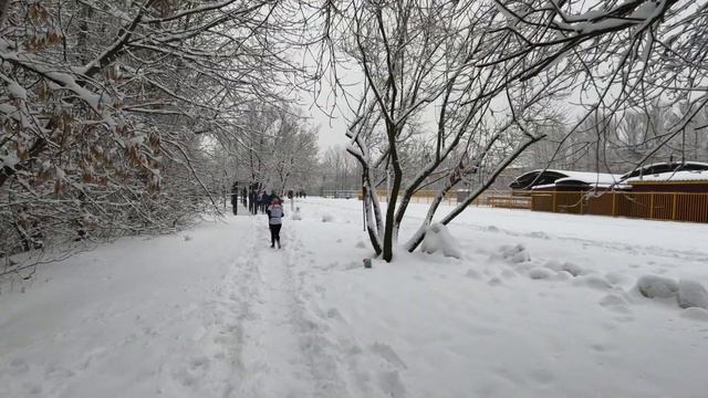 Трейл - Коломенское смотреть онлайн
