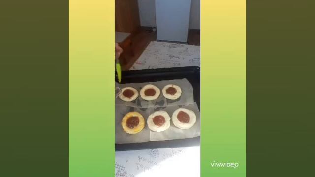 Домашние Животные и Их Уход