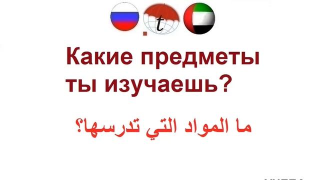 Какие предметы ты изучаешь? Фразы на арабском языке. Арабский язык смотреть онлайн