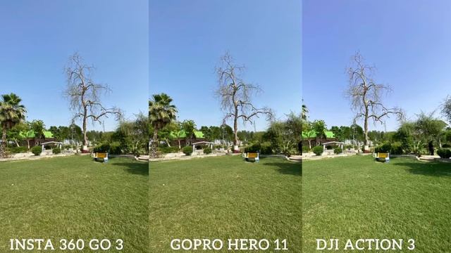 Insta360 Go 3 VS GoPro Hero 11 Black VS Dji Action 3 Camera Comparison