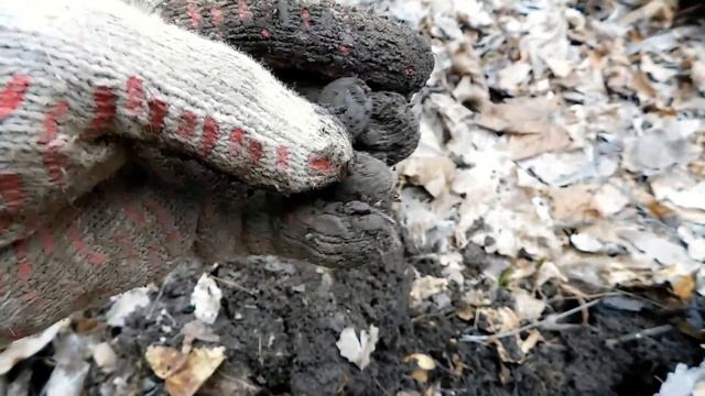 поиск монет в старинной деревне смотреть онлайн