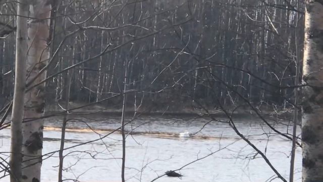 135.Звонок от врача..Поездка к родителям