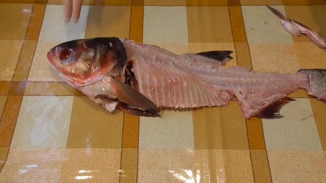 Тушёнка из толстолобика/Консервы из толстолобика в духовке/Тушонка з товстолобика/Как снять филе. смотреть онлайн