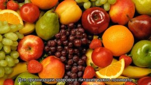 Что такое углеводы в продуктах питания