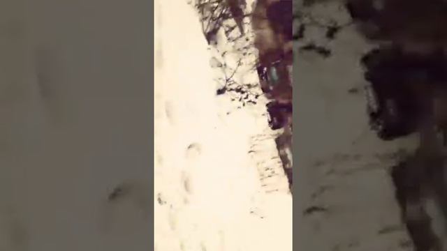 Моя улица смотреть онлайн