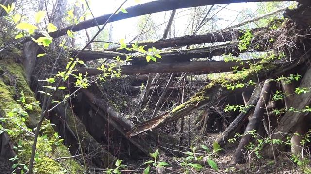 МЕТАЛОКОП на старых Капонирах( гаражах) ! День траков трактора т4. Поездка на родину на уаз 469. смотреть онлайн