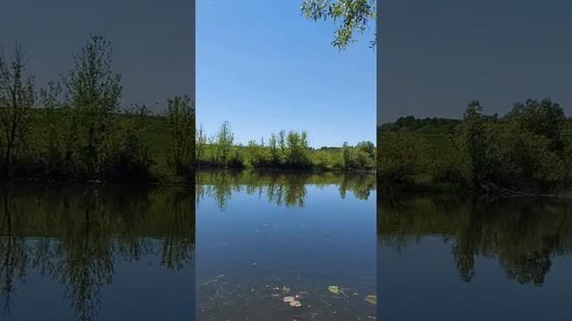 The beauty of nature in Russia смотреть онлайн