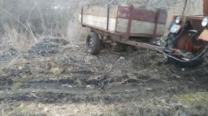 Трактор Т-25 обрізання дерев Возимо дрова