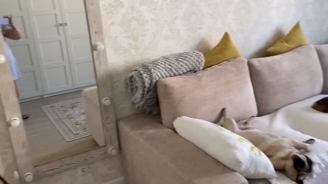 Михалыч ! ПОМОГИ СЕБЕ САМ! Он в ВОСТОРГЕ!