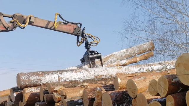 куда увозят сосны смотреть онлайн