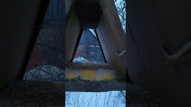 Зимняя сказка, как птицам и животным выжить в лютые морозы, мороз, снег,  сугробы.