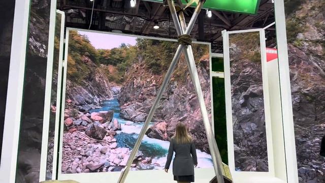 Выставка "Россия" на ВДНХ. Нашла родную Кострому! смотреть онлайн