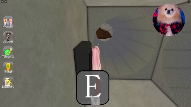 СКИБИДИ ТУАЛЕТЫ В РОБЛОКС ХОТЯТ ПОЙМАТЬ МЕНЯ! Skibi Toilets ROBLOX смотреть онлайн