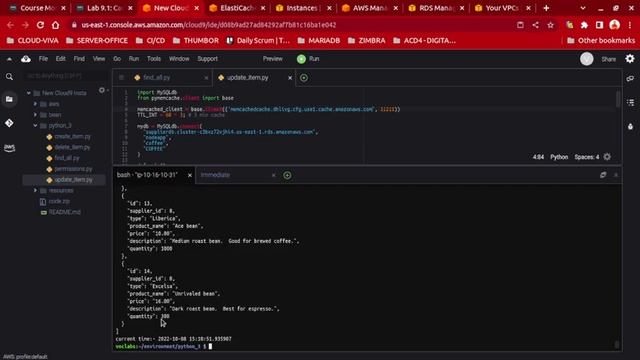 Lab Module 9.1: Caching Application Data with ElastiCache смотреть онлайн