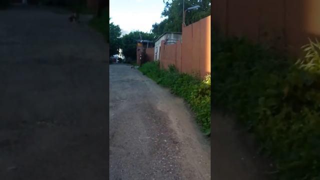 Единственный переход на станцию Люберцы. Все для людей. смотреть онлайн