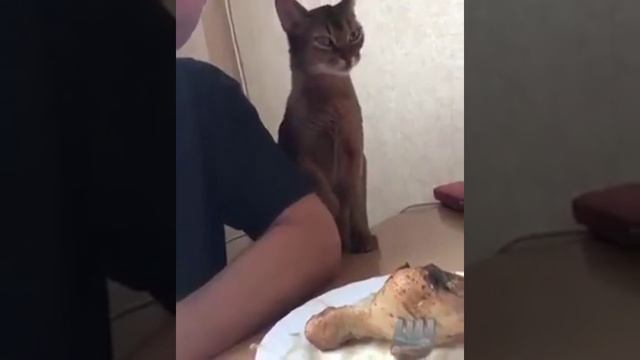 любовь.mp4 смотреть онлайн