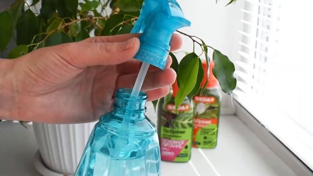 Чем подкормить комнатные растения/цветы? смотреть онлайн