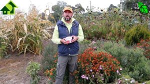 ЧТО БУДЕТ, ЕСЛИ КОШКА СЪЕСТ ОТРАВЛЕННУЮ МЫШКУ? Опасность ядов от мышей для котов, собак, птиц и рыб