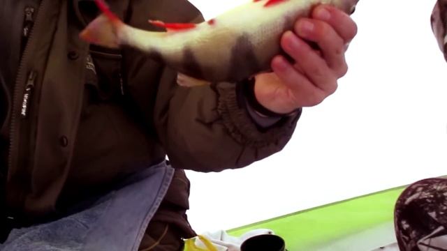 Зимняя ловля окуня. Байкал.ПРОВАЛ зовет...... смотреть онлайн