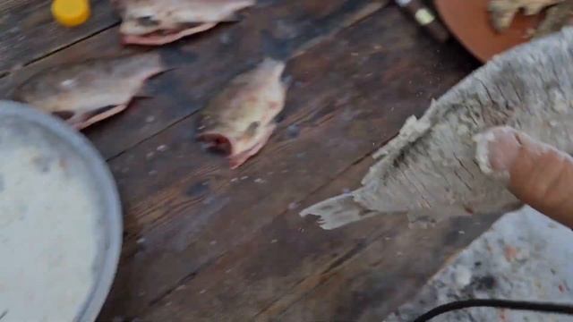 ЖАРЕНЫЙ СЛИВОЧНЫЙ КАРАСЬ БЕЗ КОСТЕЙ В КАЗАНЕ. Рецепт от Кухня Аборигена. смотреть онлайн