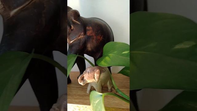 Poemas desde la naturaleza - Brazo ejecutor смотреть онлайн