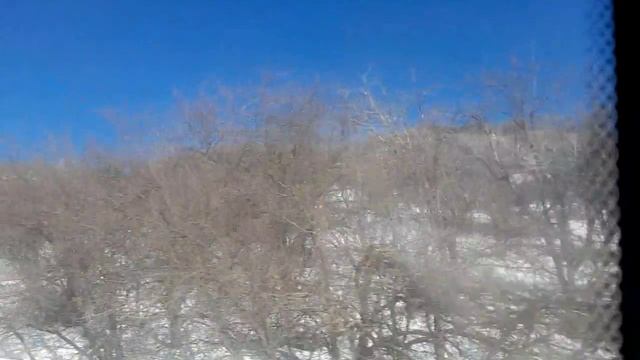 Яблоневые плантации  на склоне гор недалеко от  Алматы