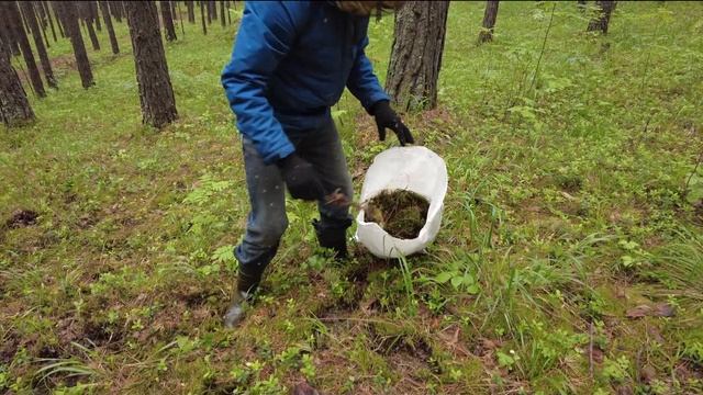 Чем набивать подушки для пчел? Мы выбираем мох, а вы? смотреть онлайн