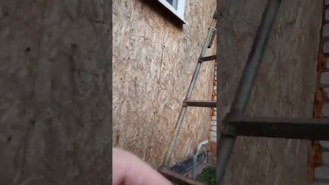 Функциональное пространство