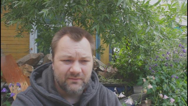 Внимание на Али идут распродажи бюджетных Литиевых аккумуляторов бренда LiitoKala смотреть онлайн