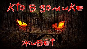 НОЧЬ в МЁРТВОЙ деревне. Установил камеру в заброшке. Часть 2..