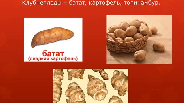 Классификация овощей смотреть онлайн