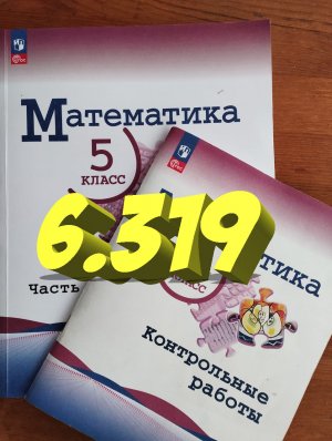 математика 5 класс номер 6.319