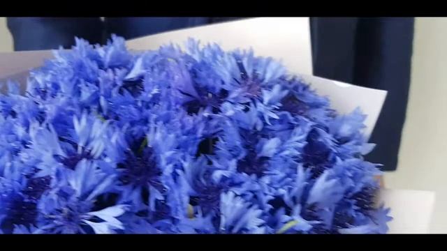 Букет васильков