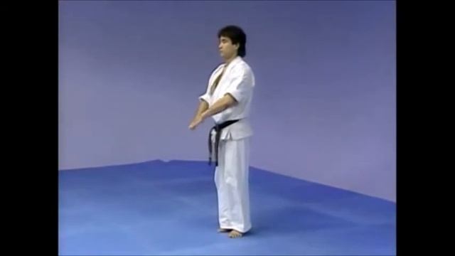 Кёкусинкай Карате/ Ката- Сайфа(Сайха)/Kyokushin Karate/Kata Saifa(Saiha) смотреть онлайн