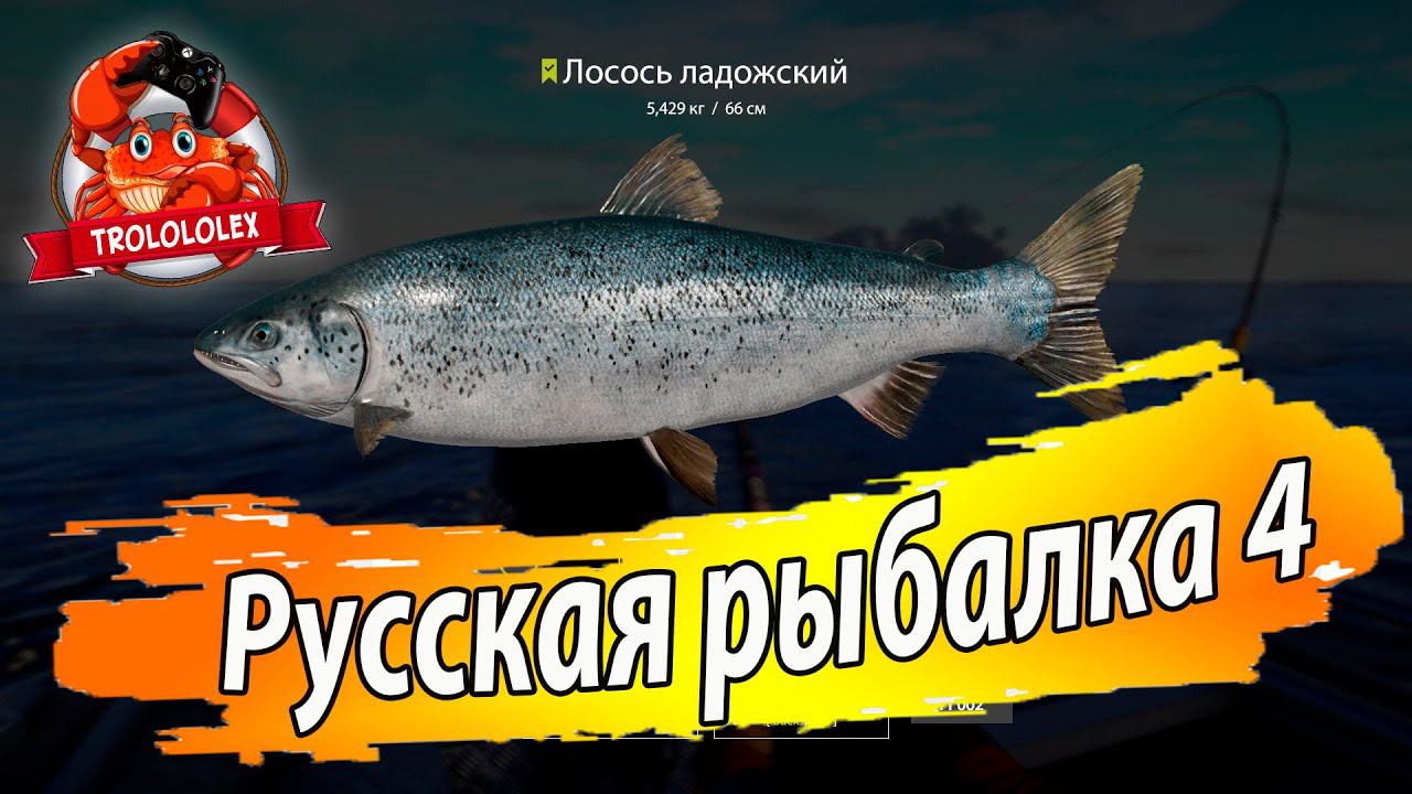 РУССКАЯ РЫБАЛКА 4 ФАРМ НА ЛАДОЖСКОМ АРХИПЕЛАГЕ смотреть онлайн