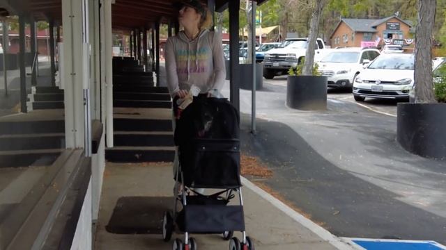 Best Dog Strollers for Outdoor Adventures смотреть онлайн