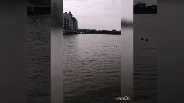 Краснодар, район немецкой деревни! смотреть онлайн