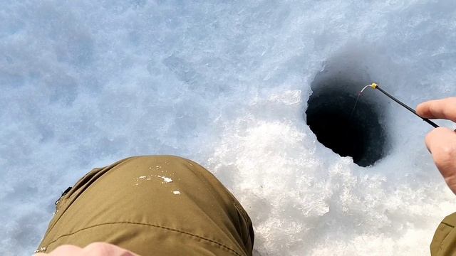 ПОЕХАЛИ ТЕСТИРОВАТЬ БУКСИРОВЩИК  IKUDZO 2.0 EKR 20 В СУГРОБАХ И ЗАСАДИЛИ!