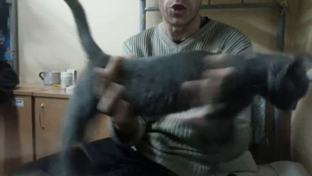 Бегущая рысь смотреть онлайн