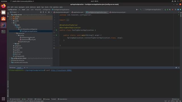 Spring Cloud Config Server смотреть онлайн