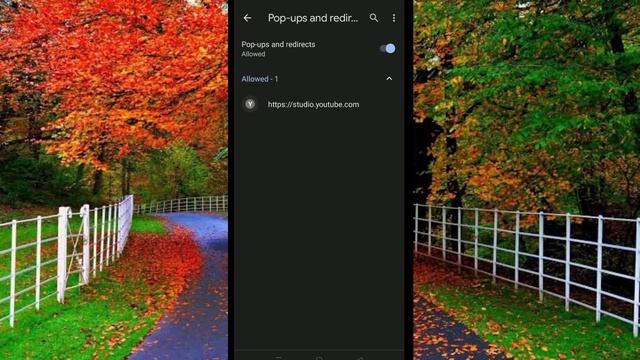 how to disable popup blocker in Google chrome | how to turn off popup blocker in Google chrome смотреть онлайн