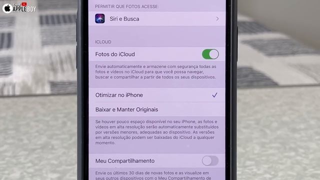 Dicas Básicas e Avançadas de Configurações iniciais para seu iPhone смотреть онлайн