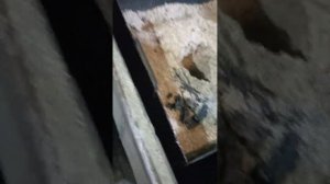 печь длительного горения на опилках, своими руками