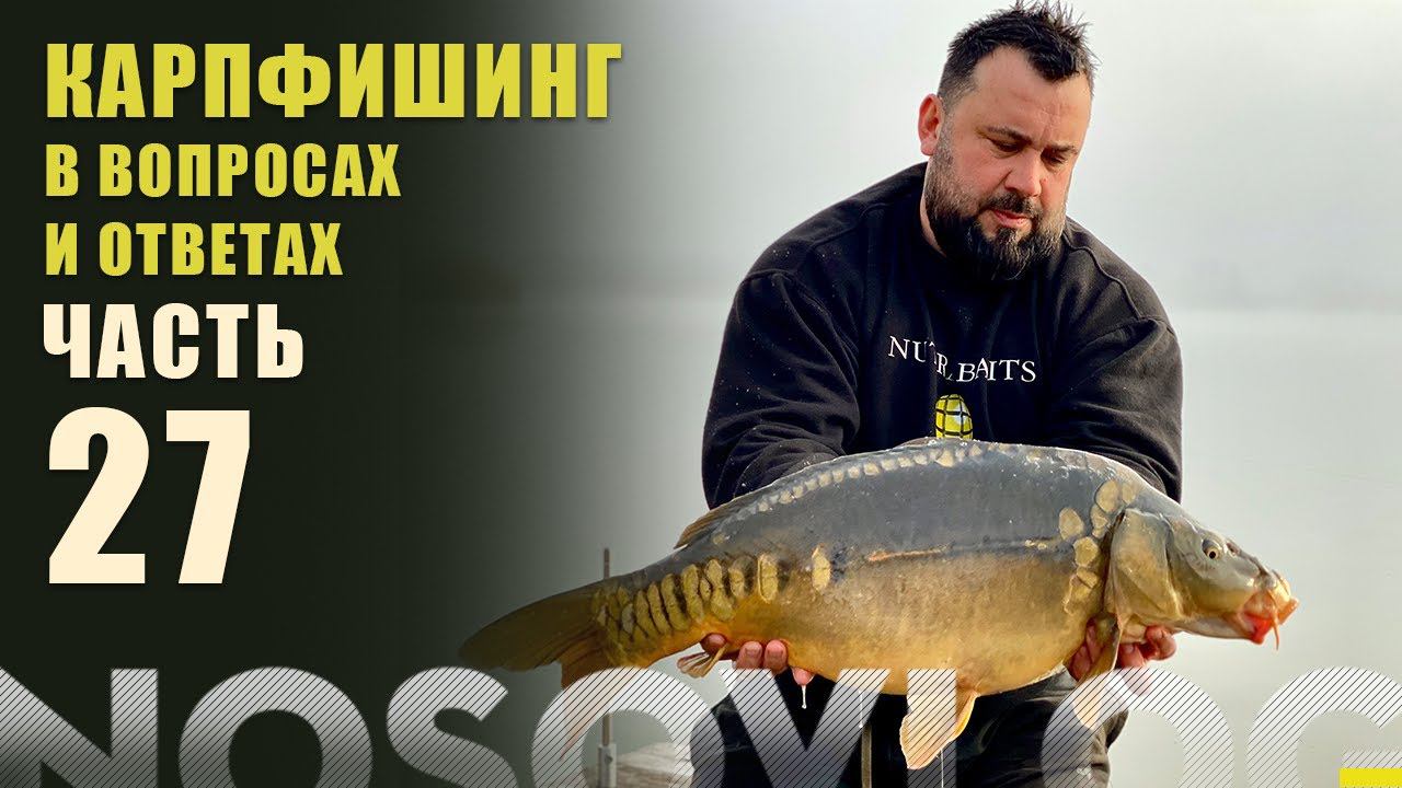 Карпфишинг в вопросах и ответах, выпуск 27, А Колесников смотреть онлайн