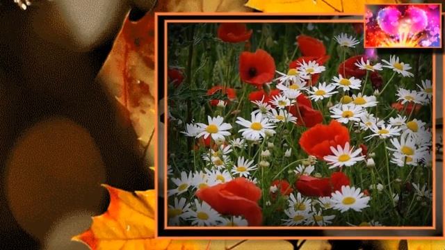 Распустила осень косы _ В. Захаров смотреть онлайн