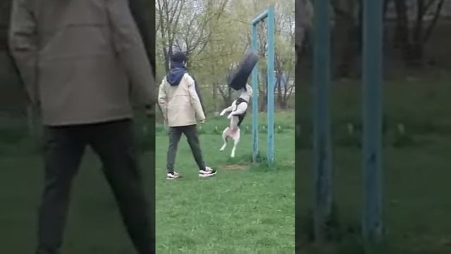 19 ноября 2020 г. смотреть онлайн