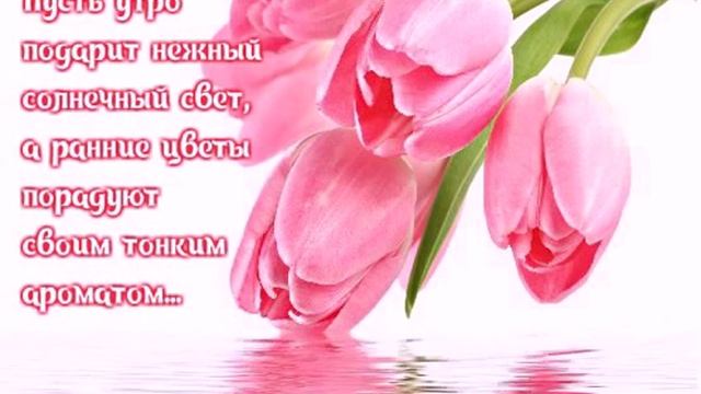 Пусть утро подарит солнечный свет... смотреть онлайн