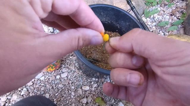 Фидерная ловля леща на Волге. Воздушное тесто творит чудеса. Рыбалка на реке смотреть онлайн