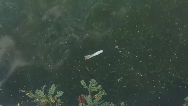 Боевая подводная лодка жесть... смотреть онлайн