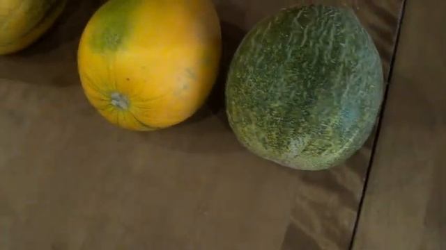 Собираем и пробуем Сибирские дыни смотреть онлайн